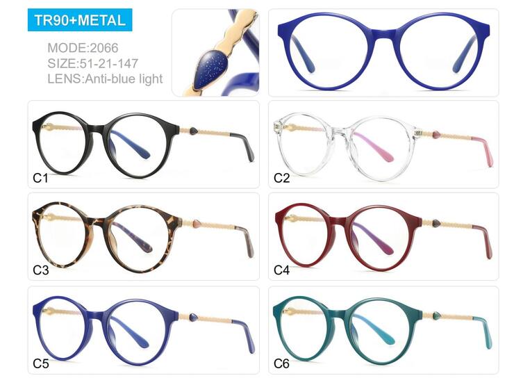 Plastic frames for glasses TR90+CA material (flex hinges) FOCUS FCS2066