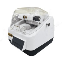 Polishing machine CP-8