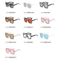 Polarized plastic sunglasses with UV400 protection 8902-GT