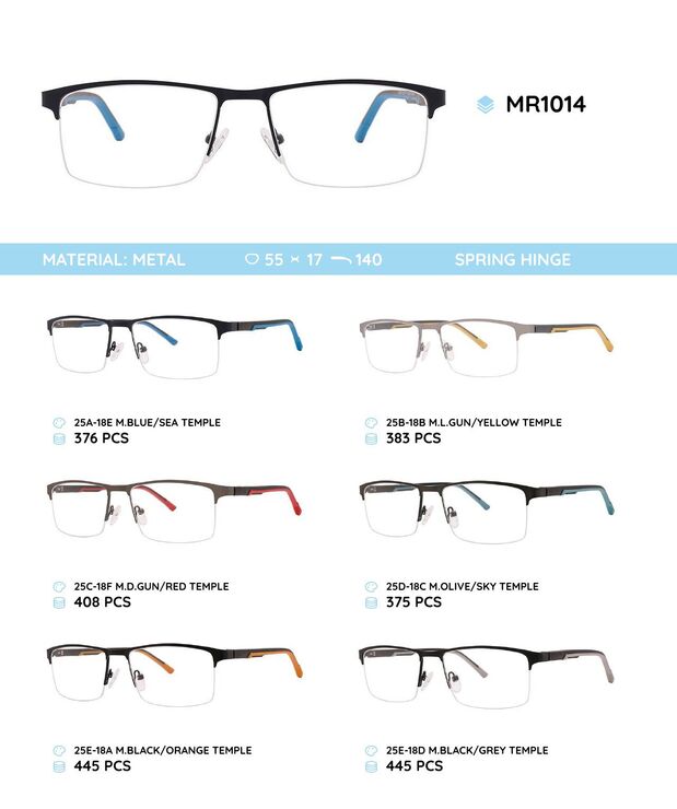 Metal frame with TR-90 temples with spring hinges MR1014