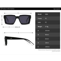Plastic sunglasses for men Elit 3604-EL