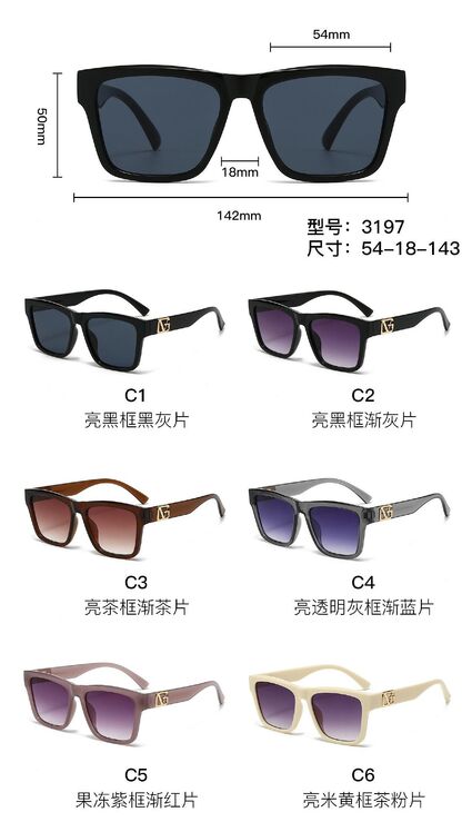 PC plastic sunglasses with plastic hinge 3197W
