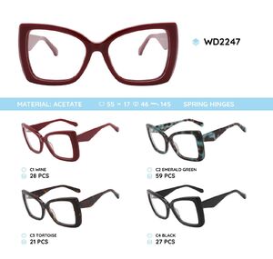 Plastic acetate eyeglasses frame with spring hinges WD2247
