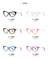 Оправа пластиковая, материал TR-90+CA (флекс!) FOCUS FCS2073