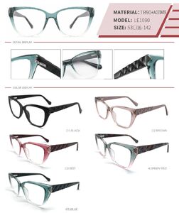 Оправа пластиковая из TR90 и ацетата с флексом LE1090-DA