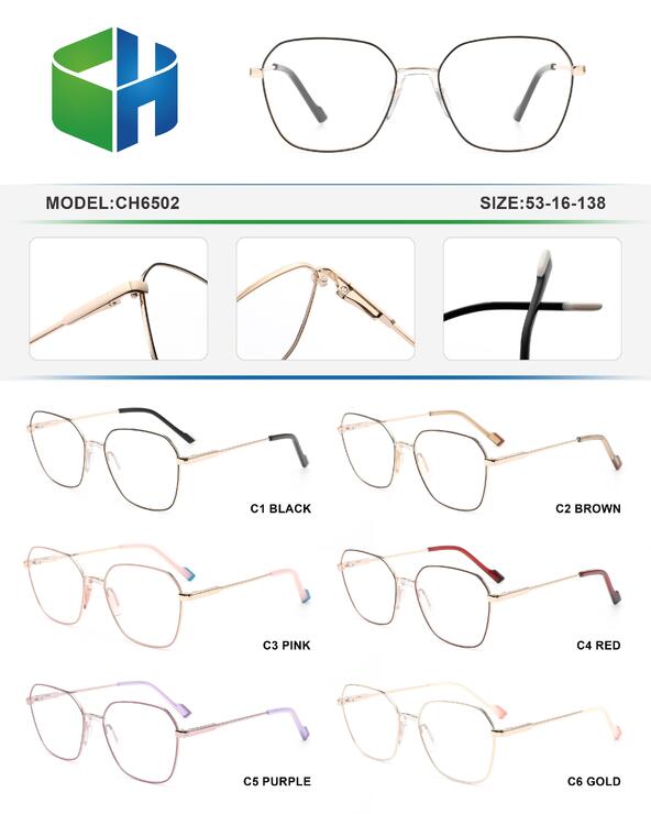 Оправа металлическая с флексом CH6502-DA