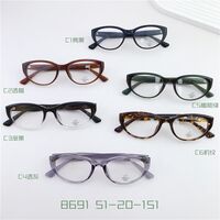 TR90 plastic frame with Blue Block coating SANTA S8691