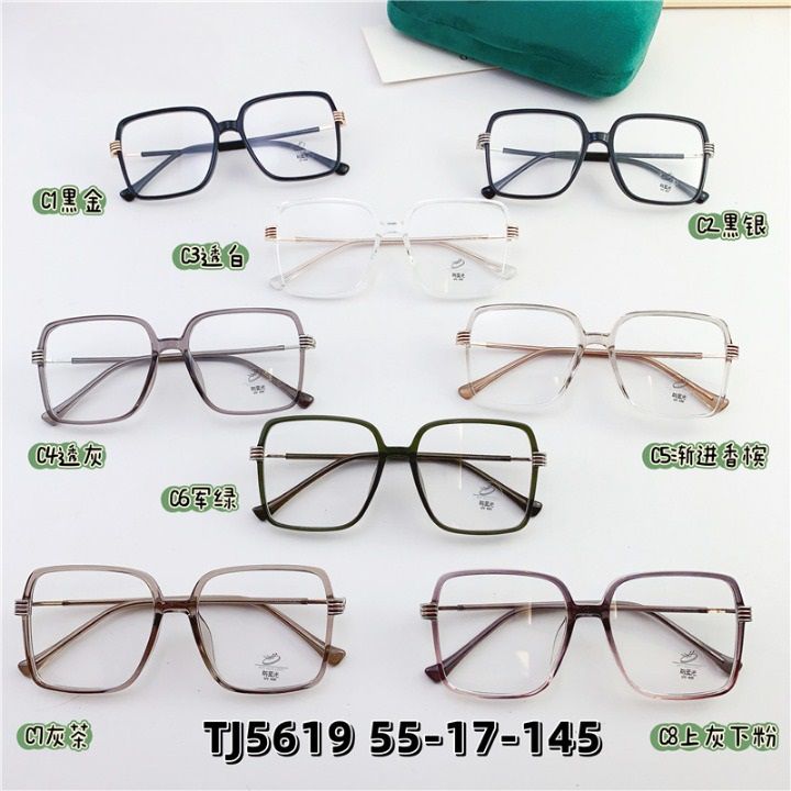 TR90 plastic frame with Blue Block coating SANTA TJ5619