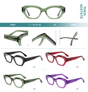 Plastic frames for glasses, thick acetate Big City H2852