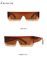 Sunglasses Elit in retro style 2104