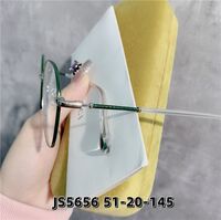 Оправа металлическая, линзы с Blue Block покрытием SANTA JS5656