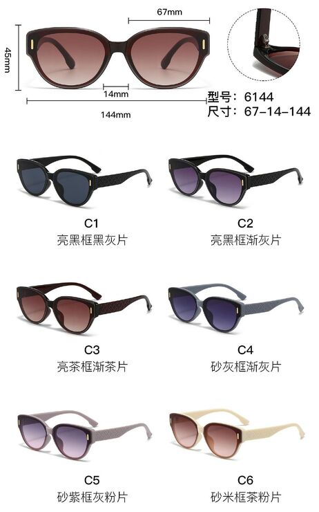 PC plastic sunglasses with metal hinge 6144W