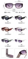 PC plastic sunglasses with metal hinge 6121W
