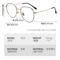 Photochromic glasses with blue light and UV protection 9629-2-GT