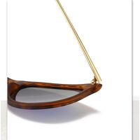 Polarized plastic sunglasses with UV400 protection 4171-2-GT