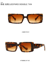 Sunglasses Elit modern 21010
