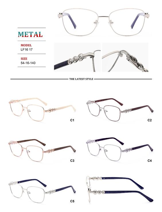 Metal frames for glasses with spring hinges Big City LF1617