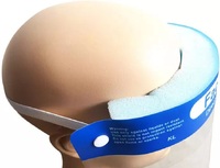 Transparent protective mask with elastic Face Shield