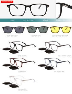 Plastic acetate frame with flex hinges + polarized clip-on Big City F3017S