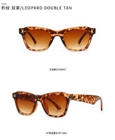 Sunglasses Elit in retro style cat eye 1738