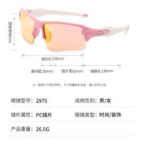 Polarized plastic sunglasses with UV400 protection 2975-GT