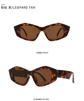 Солнцезащитные очки Elit в стиле ретро 9248