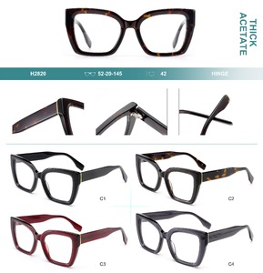Plastic frames for glasses, thick acetate Big City H2820