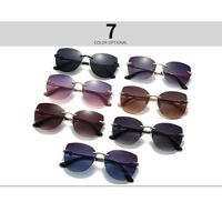 Metal rimless retro sunglasses for women Elit 2529-EL