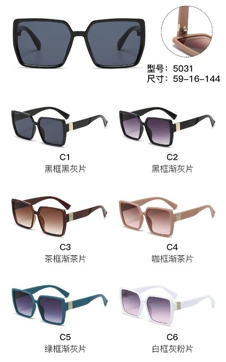 PC plastic sunglasses with metal hinge 5031W
