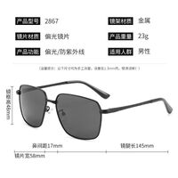 Polarized metal sunglasses with UV400 protection 2867-GT