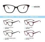 Plastic acetate eyeglasses frame with spring hinges WD2258