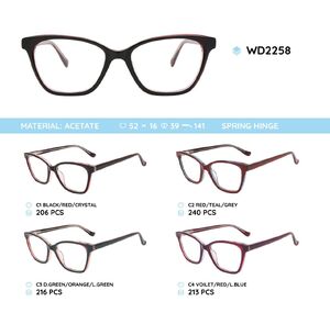 Plastic acetate eyeglasses frame with spring hinges WD2258