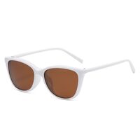 Plastic frame + polarized sun protection magnet clip-on El Dorado EL2340D