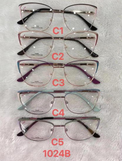 Metal frames for glasses Polar Fashion 1024B