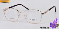 Metal eyeglass frame, material steel Allmilmo AL7090