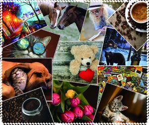 Салфетка МИКС для ухода за очками с принтом, материал микрофибра, в индивидуальной упаковке, 17,5 *14,5 см