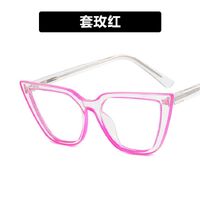Plastic glasses with blue light protection for women 4007-5011-PN