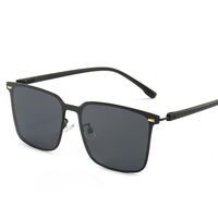 Polarized metal sunglasses with UV400 protection 5687-GT