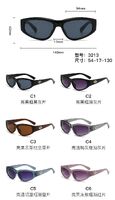 PC plastic sunglasses with plastic hinge 3213W