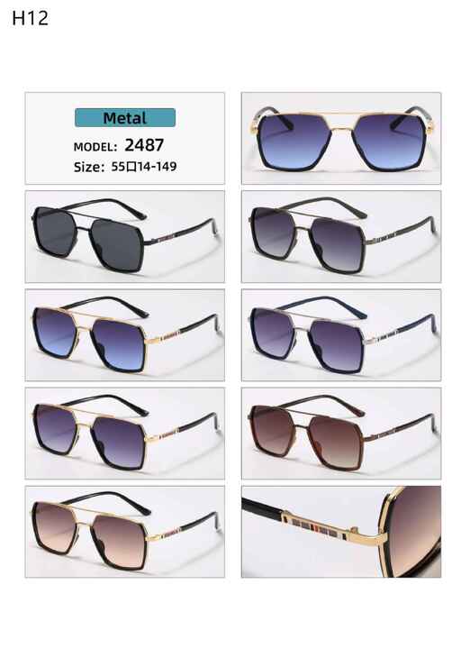 Polarized metal sunglasses H12 Matrix MT2487