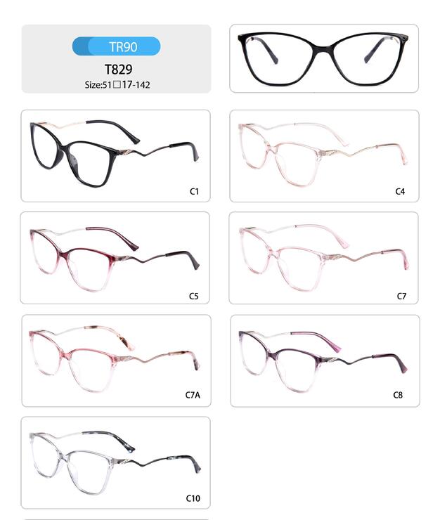 Plastic TR90 frame for women with spring hinges T829-DA