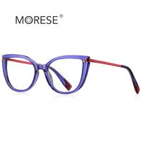 Plastic TR90 frames for glasses with Blue Ray Cut protection and flex hinges FOCUS FCS2128