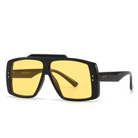 Plastic large sunglasses Elit 2128-EL