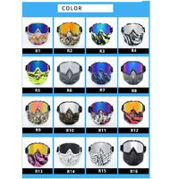 Safety shockproof sports goggles - mask 风镜-鹰嘴面罩转印