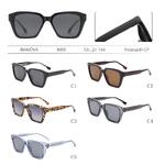 Polarized plastic sunglasses Rianova R9009
