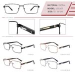 Metal frame with spring hinges LE6263-DA