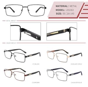 Metal frame with spring hinges LE6263-DA