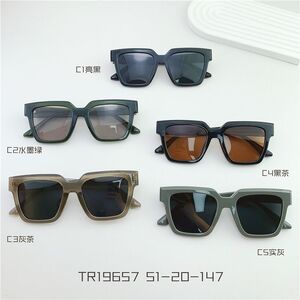 TR90 plastic sunglasses SANTA 19657S