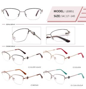 Metal nylor frame with spring hinges LE8851-DA