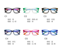 Plastic frames for glasses TR90+CA material (flex hinges) FOCUS FCS20210